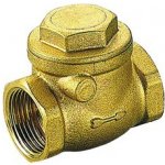 Tiemme 1" vodorov. zpětná klapka FULL, -20° 110°C,PN16 TM3660G2806 – Hledejceny.cz