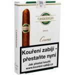 Candlelight Corona Brasil 5 ks – Zbozi.Blesk.cz