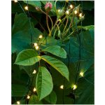 Sirius Svítící řetěz Fairy Light 80 LED Green – Hledejceny.cz