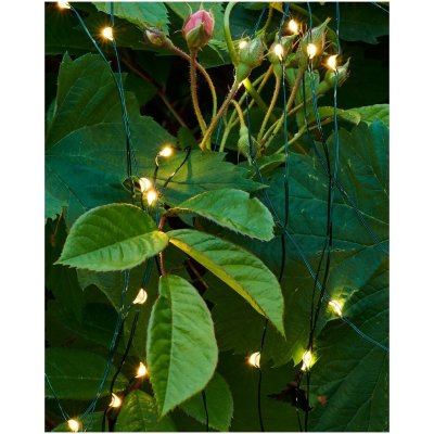 Sirius Svítící řetěz Fairy Light 80 LED Green – Hledejceny.cz