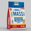 Gainer Applied Nutrition Critical Mass Original 6000 g