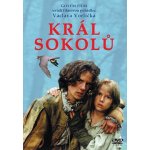 Král sokolů DVD – Hledejceny.cz