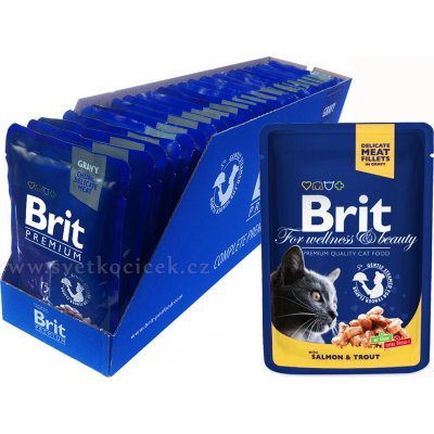 Brit cat Premium with Chicken & Turkey 24 x 100 g – Zboží Mobilmania