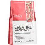 Ostrovit Creatine monohydrate 1000 g – Zboží Dáma