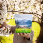 Upraženo Jarní směs káva 100% Arabica 250 g – Zbozi.Blesk.cz