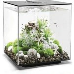 Biorb Cube akvárium MCR černé 30 l – Zbozi.Blesk.cz