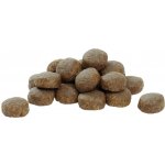 Pro Plan Large Puppy Robust Healthy Start kuře 12 kg – Hledejceny.cz