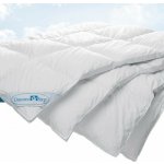 DaunenStep Kvalitní zimní přikrývka ze 100% prachového peří D400 140x200 – Sleviste.cz