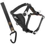 Kurgo Tru-Fit Smart Harness Bezpečnostní postroj do auta M – Sleviste.cz