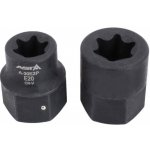 Nástrčné hlavice ASTA TORX-E, rozměry E20 a E24 2 ks – Zboží Dáma