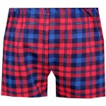 Foltýn dětské trenýrky DT145 – Zboží Dáma