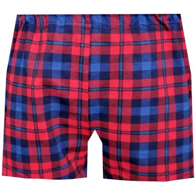 Foltýn dětské trenýrky DT145 – Zboží Dáma