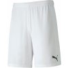 Puma teamFINAL 21 knit Shorts