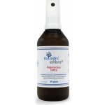 Koloidní stříbro Regenerace nehtů sprej 100 ml – Zboží Mobilmania