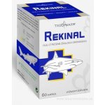 REKINAL 60 ks – Hledejceny.cz