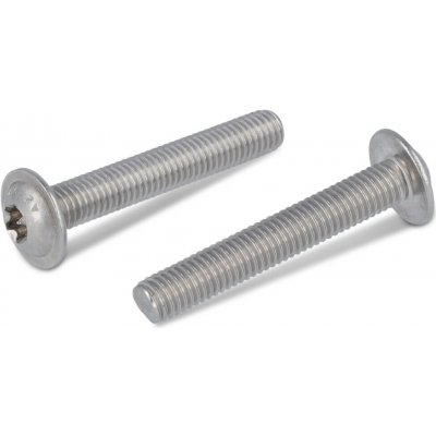 INOX ISO 7380-2 šrouby s půlkulatou hlavou a límcem, na TORX, celý závit, nerez A2 Varianta: ISO 7380-2 šroub půlkulatá hlava s límcem, TORX celozávit, nerez A2 M6X55/55 TX30 – Sleviste.cz