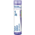 KALIUM IODATUM POR 30CH GRA 1X4G – Hledejceny.cz