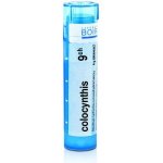COLOCYNTHIS POR 9CH GRA 1X4G – Hledejceny.cz
