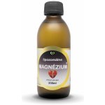 Zdravý Svet Liposomální Magnésium 200 ml – Hledejceny.cz