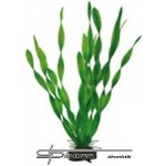 Hobby Vallisneria 34 cm – Sleviste.cz