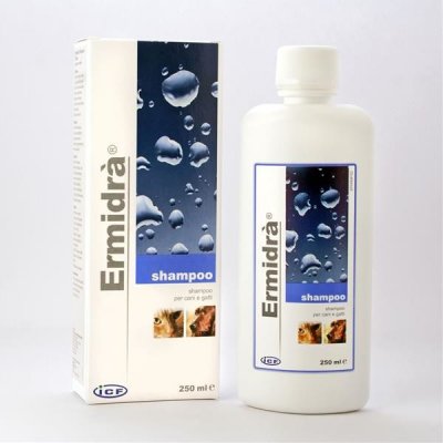 Ermidra šampon 250 ml – Zbozi.Blesk.cz