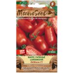 MoravoSeed CZ a.s. MoravoSeed Rajče tyčkové lahůdkové DELIKANO F1 – Hledejceny.cz