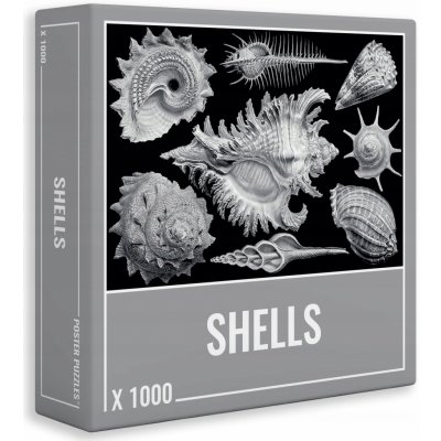 CLOUDBERRIES Shells 1000 dílků