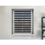 Fexi Roleta Den a noc, Nature blackout antracit, A 02909 150x54 cm levá-bílá – Hledejceny.cz