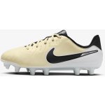Nike LEGEND 10 ACADEMY FG/MG JR dv4348-700 – Zboží Dáma
