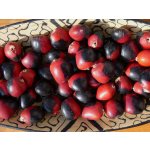 Huayruro (velká) – Hledejceny.cz