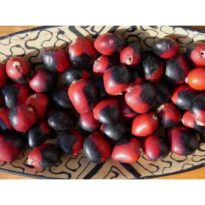 Huayruro (velká) – Hledejceny.cz