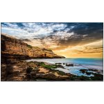 Samsung LH65QETELGCXEN – Zboží Živě