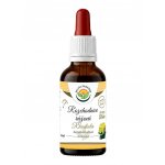 Salvia Paradise Rozchodnice růžová rhodiola AF tinktura 50 ml – Hledejceny.cz
