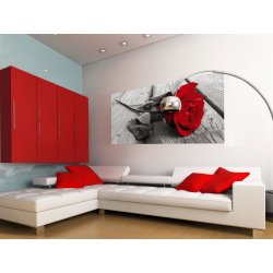 AG Design FTNH-2717 vliesová fototapeta Růže rozměry 202 x 90 cm