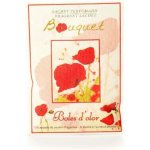 Boles d´olor Vonný sáček kapesní malý papírový 5,5 x 7,5 x 0,3 cm Bouquet – Hledejceny.cz