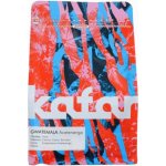 Kafar Káva Arabica Guatemala Acatenango zrnková 250 g – Hledejceny.cz