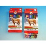 Koh-i-Noor 3144 24 ks – Zboží Živě