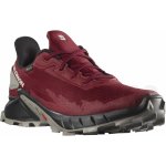 Salomon Alphacross 4 GTX BIRD/black/FRSTGY L41722800 – Zbozi.Blesk.cz