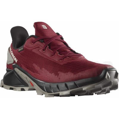 Salomon Alphacross 4 GTX BIRD/black/FRSTGY L41722800 – Zboží Dáma