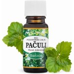 Saloos esenciální olej Pačuli 10 ml – Zbozi.Blesk.cz