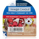 Yankee Candle vosk do aroma lampy Red Raspberry 22 g – Hledejceny.cz