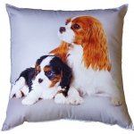 Dadka polštář Psí kavalíři 40x40 – Zbozi.Blesk.cz