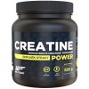 Creatin We Food Creatine Creapure 500 g