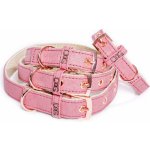 FUNKY DOG elegantní obojky z ananasu Paroží – Zboží Mobilmania