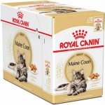 Royal Canin Mainecoon 12 x 85 g – Sleviste.cz