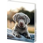 Stil Památník A5 13 x 18 cm čistý Pup – Hledejceny.cz