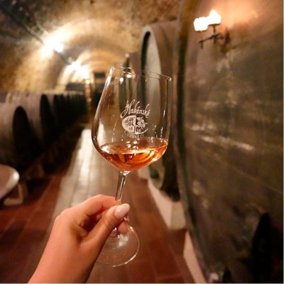 Habánské sklepy archivní degustace - elektronická poukázka – Hledejceny.cz