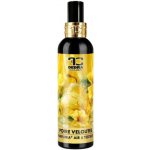 DEDRA Osvěžovač vzduchu a textilií SAMETOVÁ HRUŠKA, 200 ml – Sleviste.cz