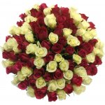 Kytice 100 míchaných růží CRONUS 60cm – Zboží Dáma