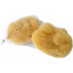 Silk mořská houba jemná kosmetická houba 6 - 7 cm – Hledejceny.cz